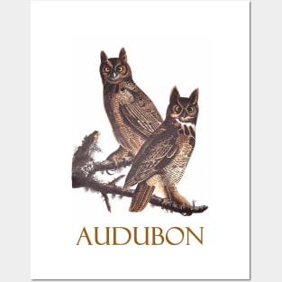 Great Horned Owl by John James Audubon Posters and Art